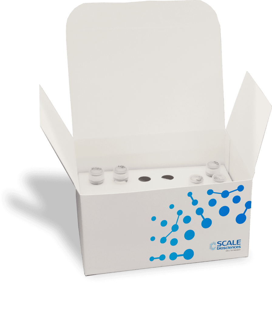Single Cell Library Preparation Kits@2x