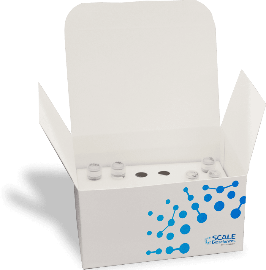 Single-Cell-Library-Preparation-Kits-application@2x